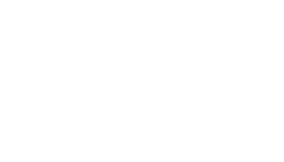 Partenaire d'affaires et technologique IBM